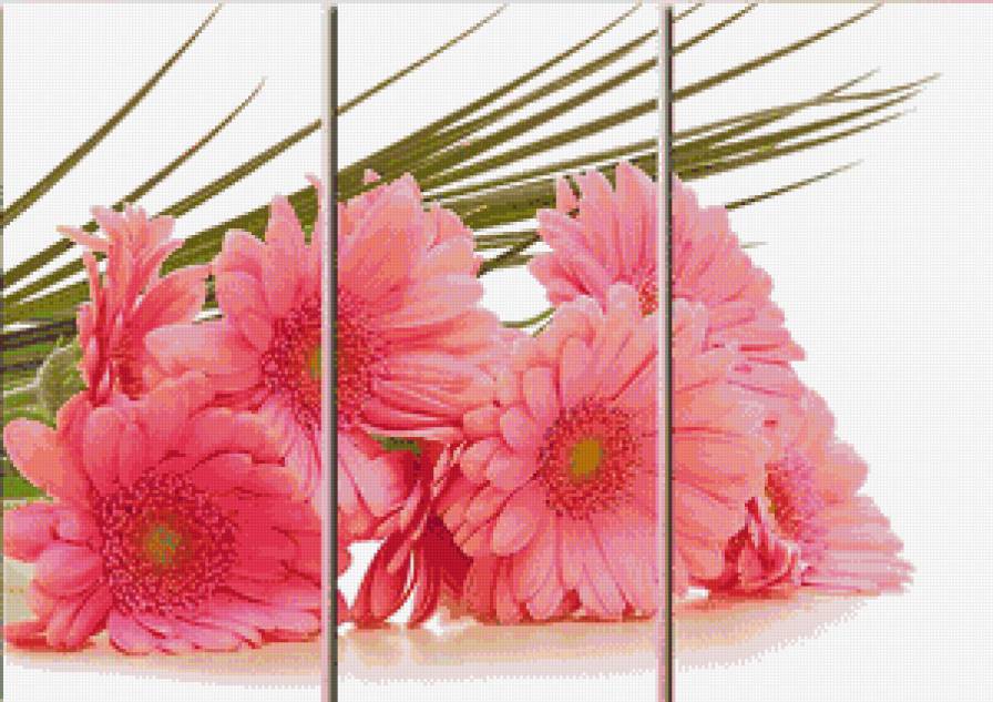 Герберы - цветы - предпросмотр