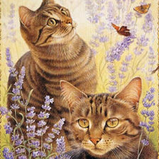 Схема вышивки «киски»