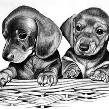 Схема вышивки «такса»