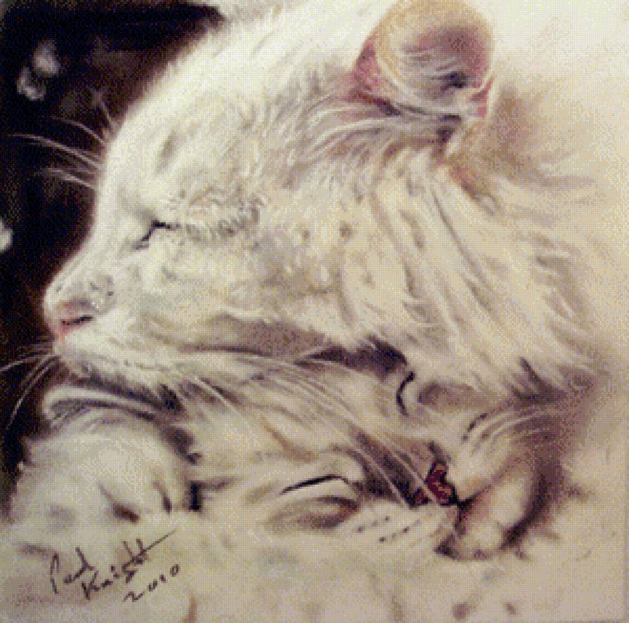 Пол Найт - предпросмотр