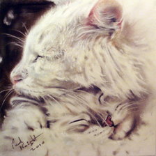 Схема вышивки «Пол Найт»