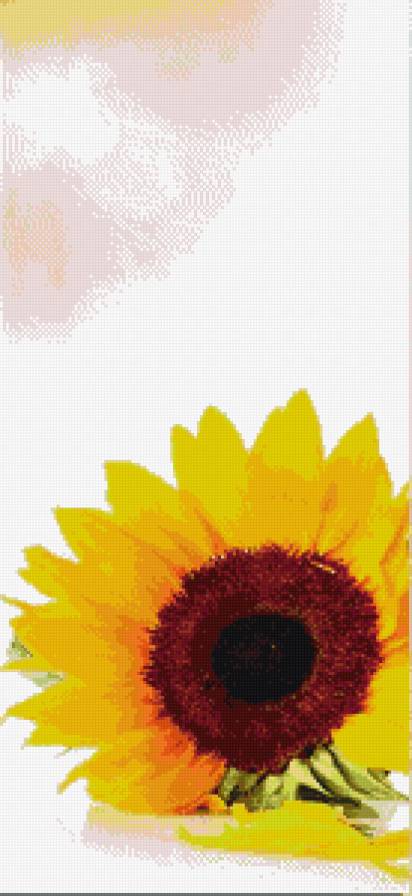 подсолнух 1 - цветы - предпросмотр