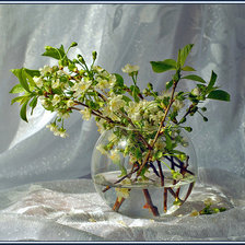 Схема вышивки «натюрморт»