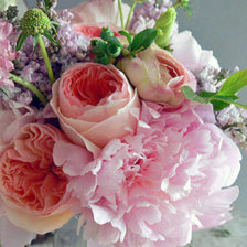 Схема вышивки «птоны3»