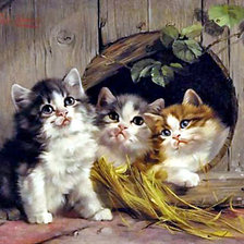 Схема вышивки «котята»