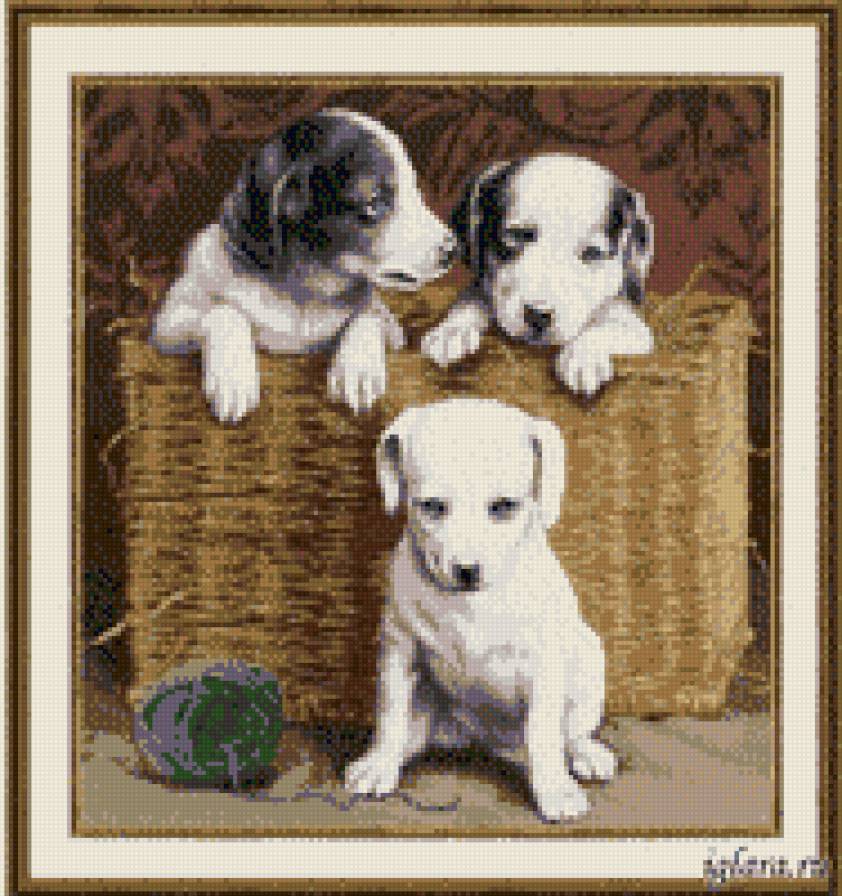 щеночки - предпросмотр