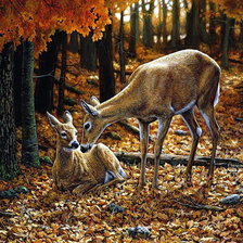 Схема вышивки «в осеннем лесу»