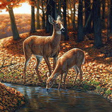 Схема вышивки «в осеннем лесу»