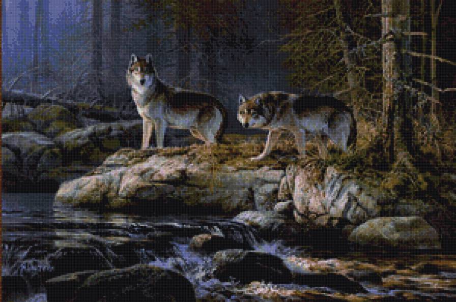 пара волков у реки - природа, река, животные, волки, пара, лес, пейзаж - предпросмотр