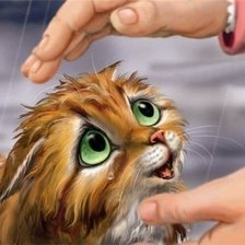 Схема вышивки «котёнок»