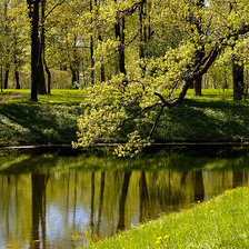 Схема вышивки «лето в парке»