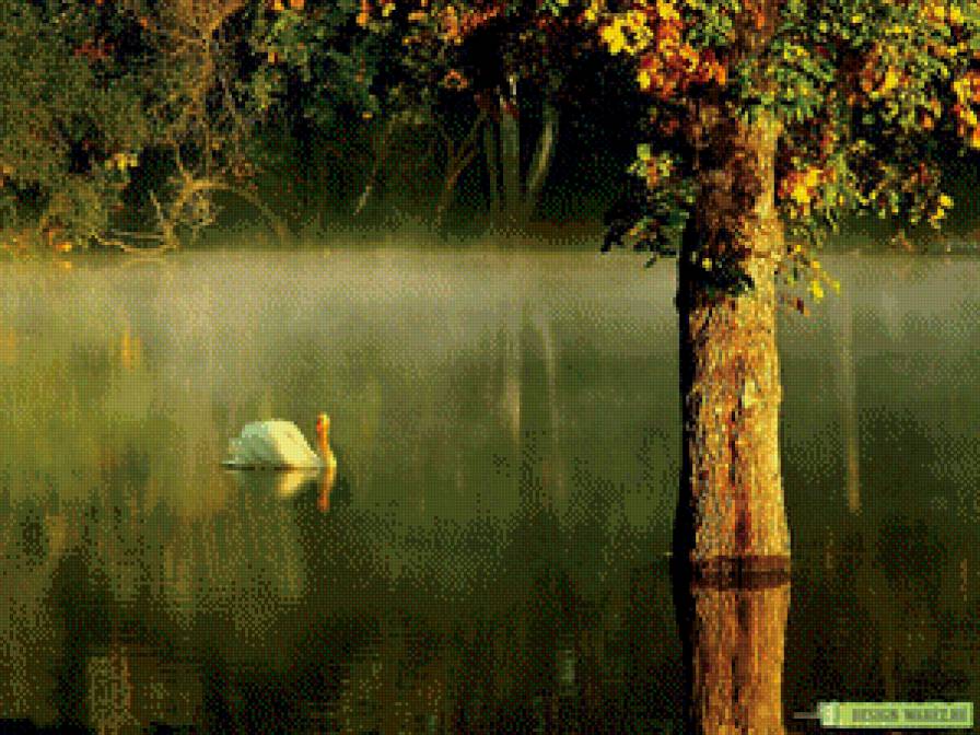 лебедь - лебедь пруд природа - предпросмотр