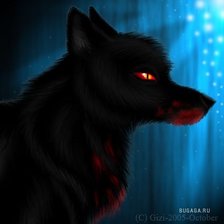 Схема вышивки «Волк»