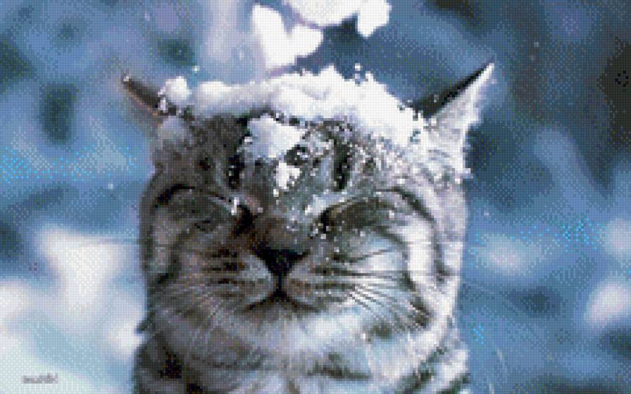 такого снегопада... - животные, кот, снег, зима - предпросмотр