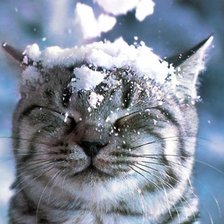 Схема вышивки «такого снегопада...»