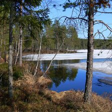 Схема вышивки «март»