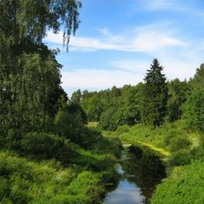 Схема вышивки «лесная речка»