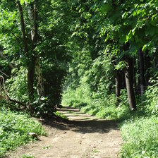 Схема вышивки «лесная тропа»