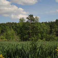 Схема вышивки «летний пейзаж»