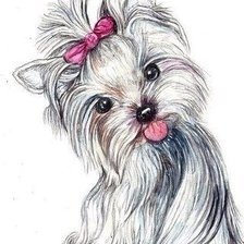 Схема вышивки «йорк с бантиком розовым»