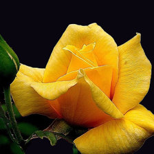 Схема вышивки «Цветок»