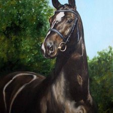 Схема вышивки «лошадь»