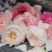 Схема вышивки «цветы»