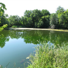 Схема вышивки «летний пейзаж»