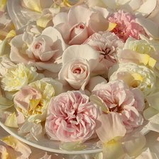 Схема вышивки «цветы»