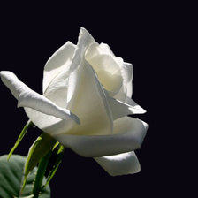 Схема вышивки «Цветок»