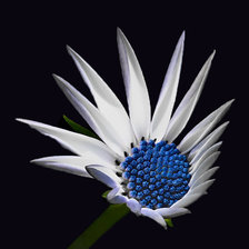 Схема вышивки «Цветок»