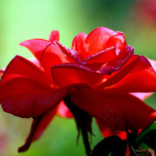 Схема вышивки «Цветок»