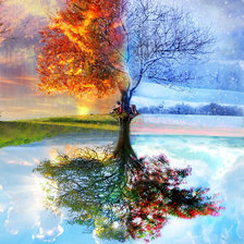 Схема вышивки «дерево мечты»