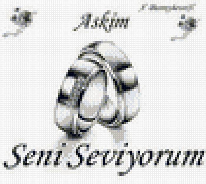 Aşkım - любовь - предпросмотр