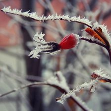 Схема вышивки «зима»
