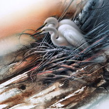 Lee Bogle - White Egrets