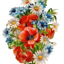 Схема вышивки «Полевой букет»