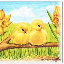 Схема вышивки «пара цыплят»