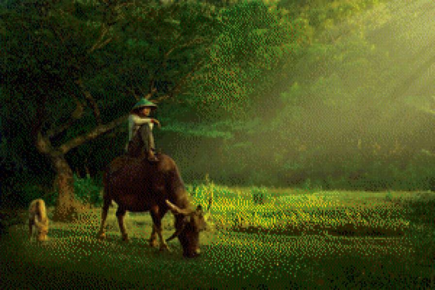 111 - предпросмотр