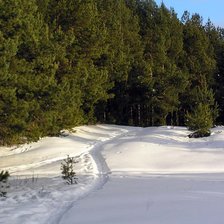 Схема вышивки «зимний лес»