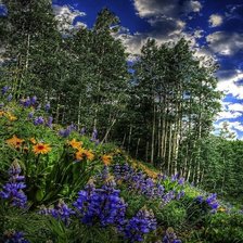 Схема вышивки «летний пейзаж»