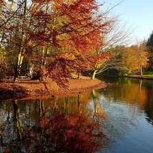 Схема вышивки «Золотая осень»