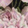 Предпросмотр схемы вышивки «Пионы» (№890374)