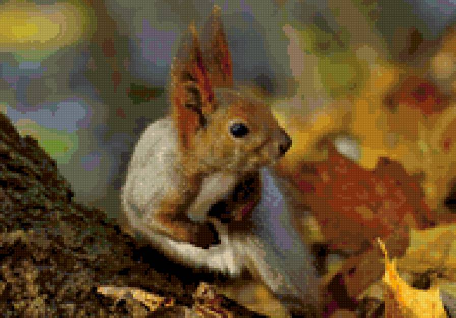 белочка - животные - предпросмотр