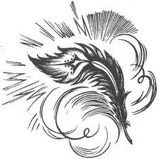 Схема вышивки «перо жар птицы черно-белое»