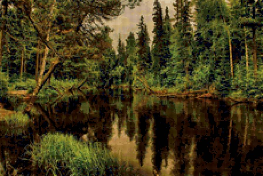 ели возле реки - природа. лето, река, пейзаж, ели - предпросмотр