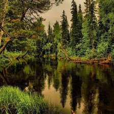 Схема вышивки «ели возле реки»