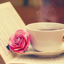 книга с цветком