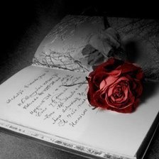 Схема вышивки «монохром книга»