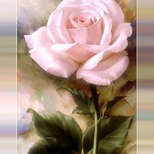 Схема вышивки «роза»